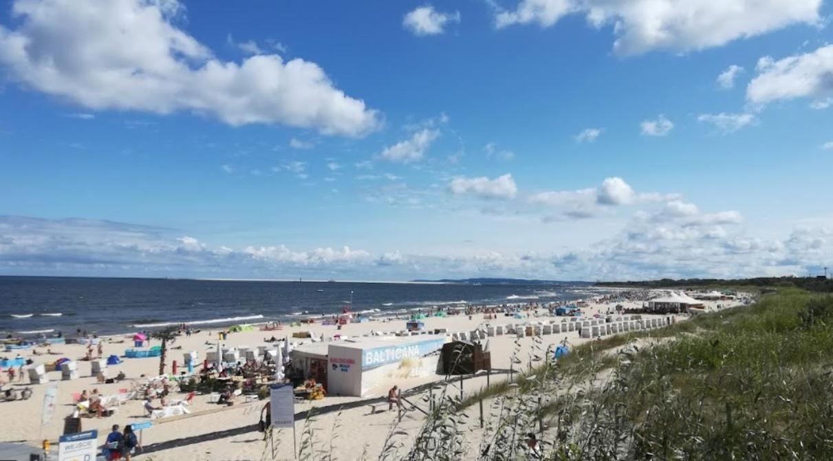 Frog For 2 Apartment Swinoujscie Bagian luar foto